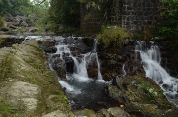 LGY_5367