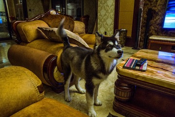 DSC03800-