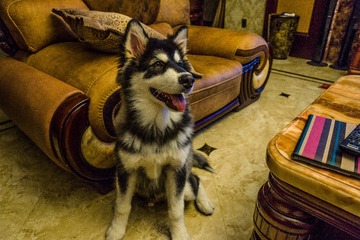DSC03810-