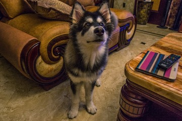 DSC03815-