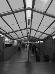 IMG_20150307_155935