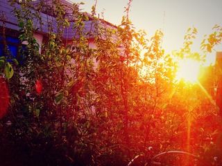 SNV33629_meitu_1