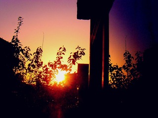 SNV33631_meitu_3