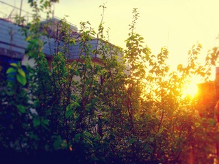 SNV33695_meitu_4