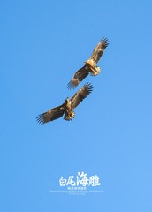 A700F5CE-5FD2-422B-8D39-5753559BB271/L0/001
