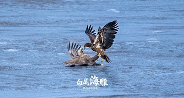 C39A0FD2-55EB-4E6F-8A4D-0D256CBF38E4/L0/001