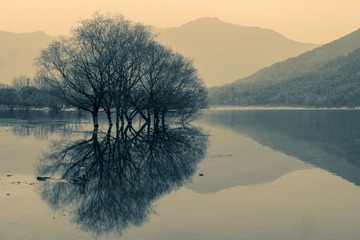 孤独（Loneliness）