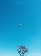 IMG_20141003_124308_2
