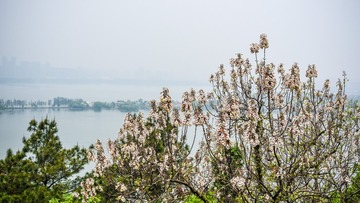 wuhan-0931