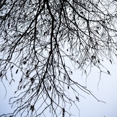 wuhan-0864