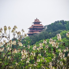 wuhan-0924