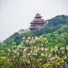 wuhan-0923