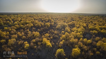 DJI_0183
