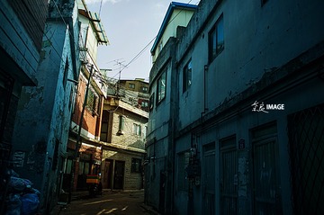 DSC_4801--