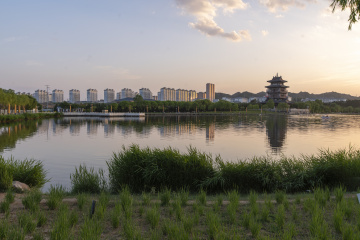 _DSC0082