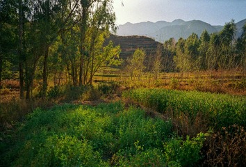 Untitled 1