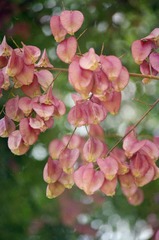 Untitled-15045