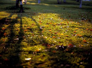 Untitled-224