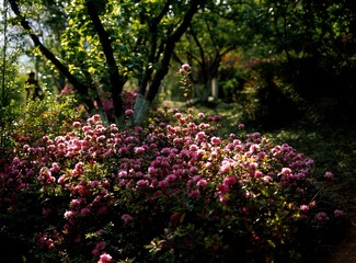 Untitled-197