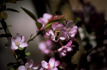 Untitled-119