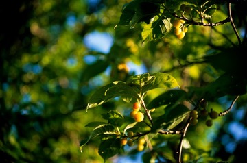 Untitled-157