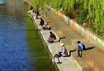 Untitled-557