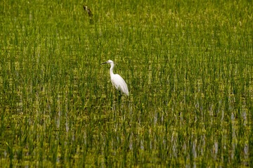 _DSC4064