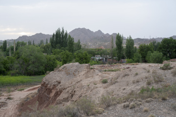 _DSC0044