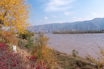 _DSC7690