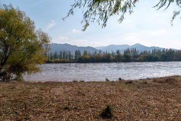 _DSC7683