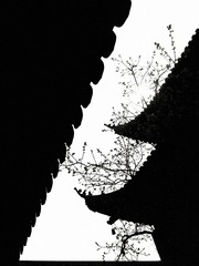 IMG_20160410_101042