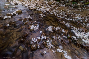 _DSC1076