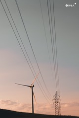 1000035445