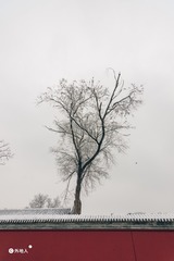 39871