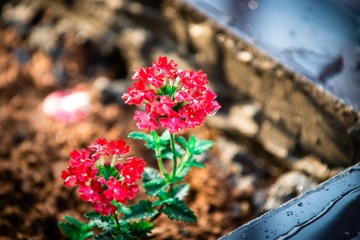 2015-04-11  7_34 AM4