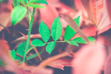 2015-04-11  3_53 PM07