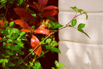 2015-04-12 10_55 AM15
