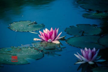 20150503-DSC03259