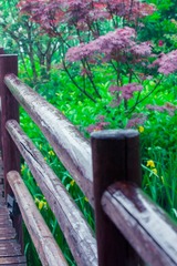 2015-05-02 70-200mm F2.8 G 70-200mm F2.8 G015