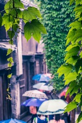 2015-05-02 70-200mm F2.8 G 70-200mm F2.8 G030