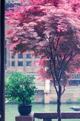 2015-05-02 70-200mm F2.8 G 70-200mm F2.8 G035