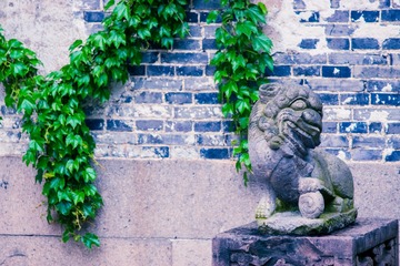 2015-05-02 70-200mm F2.8 G 70-200mm F2.8 G038