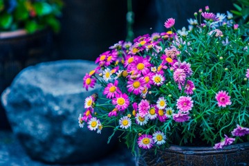 2015-05-02 70-200mm F2.8 G 70-200mm F2.8 G039