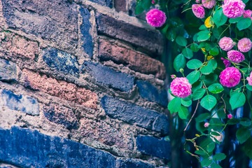 2015-05-02 70-200mm F2.8 G 70-200mm F2.8 G051