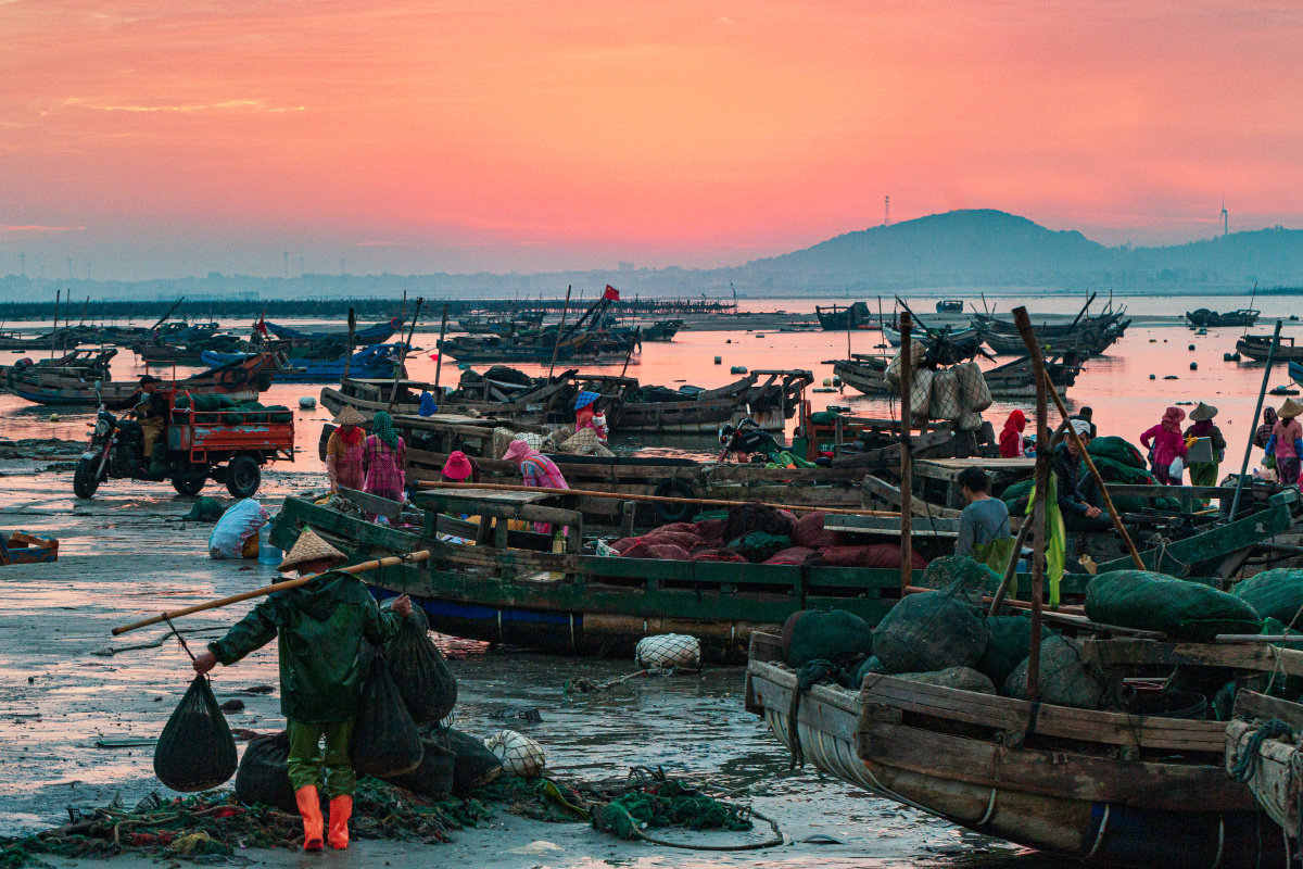 福建漳州,一群渔民从早上天还没亮的时候就开始一天的劳作.