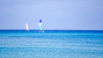 1193_HDR
