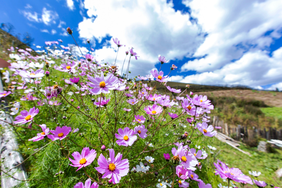 Kase 最美夏季 风光摄影现金大奖赛(第八期) - 