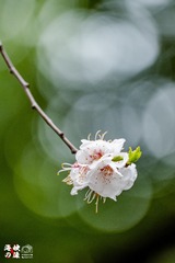 D268460F-D3F0-4FC7-A907-B29B15500DD5/L0/001