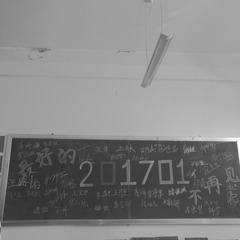 339368