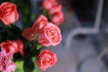 E58FF3DF-977B-484A-81D6-5C65B3029A96/L0/001